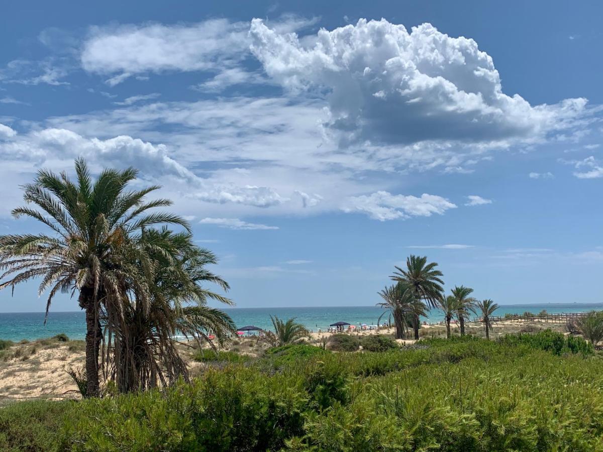 Villas Yanina Luxe Gran Alacant Puerto Marino Eksteriør bilde